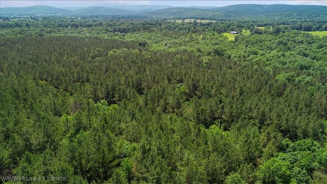 16275 Lovings Road, Heavener, OK 74937