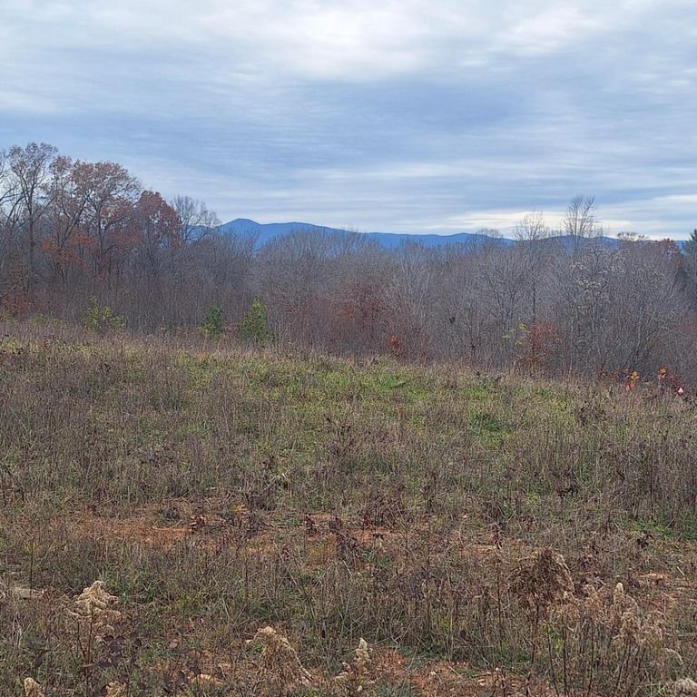 Image 1 of property listing at 0 Fox Hall Drive, Amherst, VA 24521
