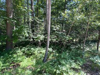 Lot 37-39 Pingree Street, Roscommon, MI 48653