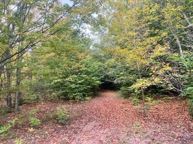 VL55 Nine Mile Road, Kaleva, MI 49645