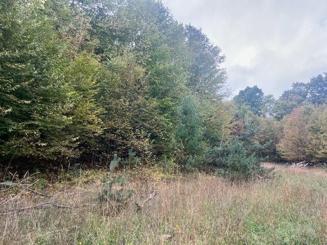 VL55 Nine Mile Road, Kaleva, MI 49645