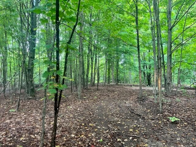 VL55 Nine Mile Road, Kaleva, MI 49645