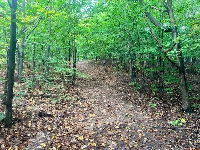 VL55 Nine Mile Road, Kaleva, MI 49645