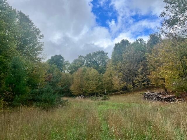 VL55 Nine Mile Road, Kaleva, MI 49645