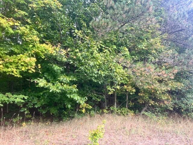 VL55 Nine Mile Road, Kaleva, MI 49645