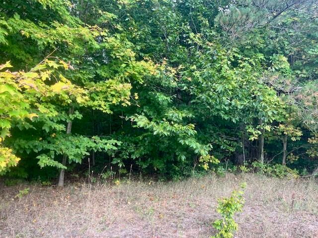 VL55 Nine Mile Road, Kaleva, MI 49645