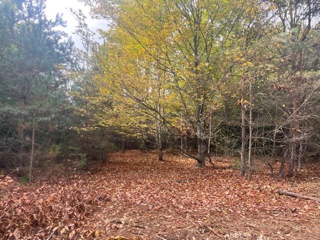 VL55 Nine Mile Road, Kaleva, MI 49645