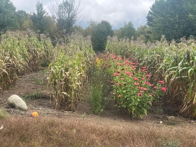 VL55 Nine Mile Road, Kaleva, MI 49645