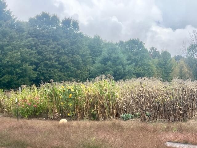 VL55 Nine Mile Road, Kaleva, MI 49645