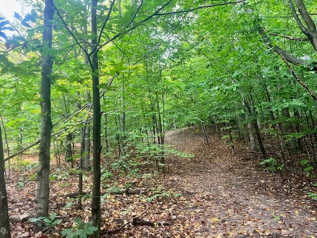 VL55 Nine Mile Road, Kaleva, MI 49645