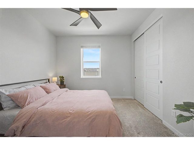 1773 Zelda Ln, Thornton, CO 80241