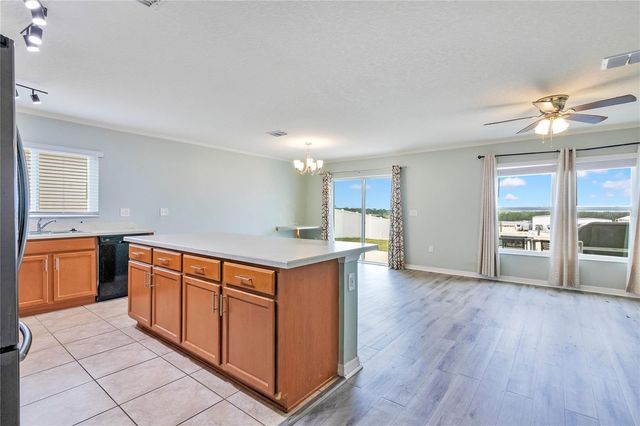 2465 BEGONIA STREET, Mascotte, FL 34753