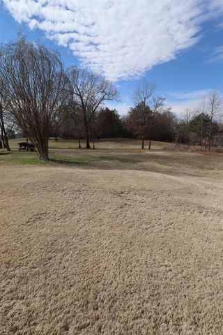 610 BETHEL PURDY RD, Bethel Springs, TN 38315
