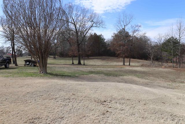 610 BETHEL PURDY RD, Bethel Springs, TN 38315