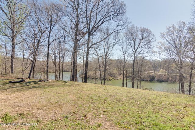440 Blue Lake Drive, Lake Cormorant, MS 38641