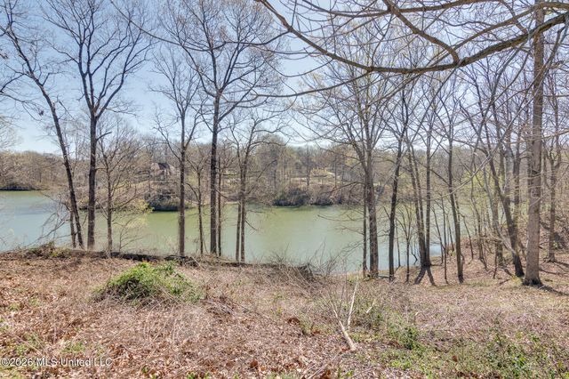 440 Blue Lake Drive, Lake Cormorant, MS 38641