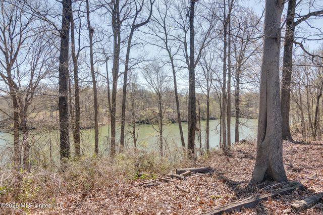 440 Blue Lake Drive, Lake Cormorant, MS 38641