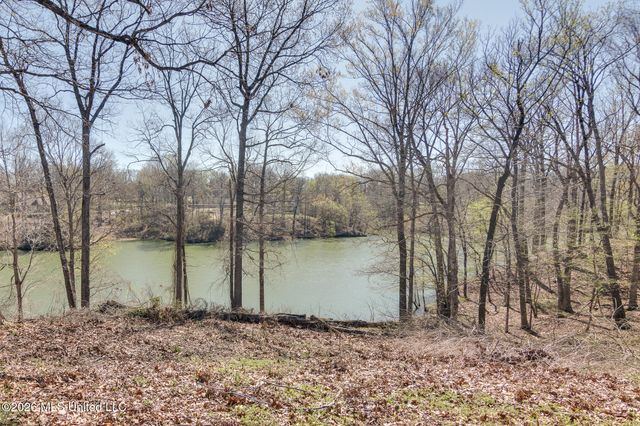 440 Blue Lake Drive, Lake Cormorant, MS 38641