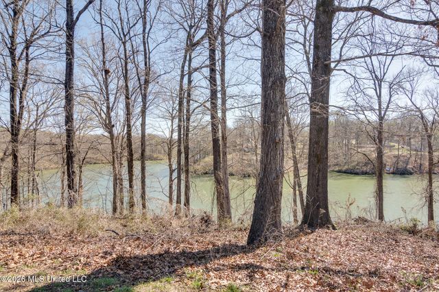 440 Blue Lake Drive, Lake Cormorant, MS 38641