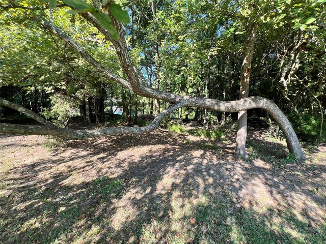 12121 N Ridgeway Drive N, Willis, TX 77318