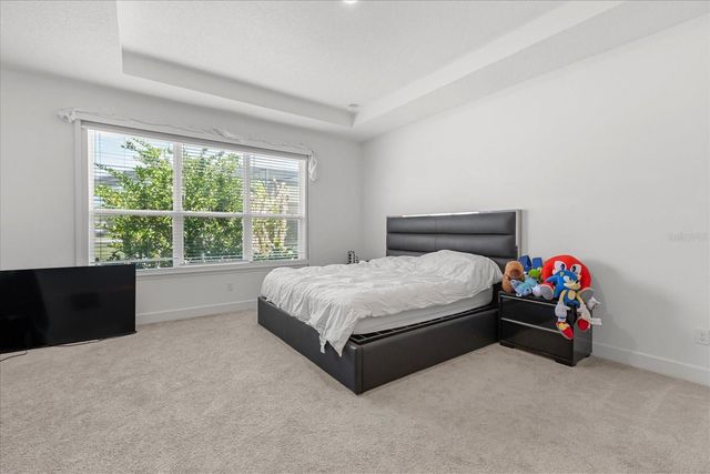 12060 LIDFLOWER STREET, Orlando, FL 32824