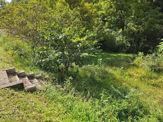 8835 Maple Road, Pound, VA 24279