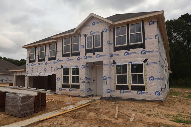 114 Roebuck Lane, New Waverly, TX 77358