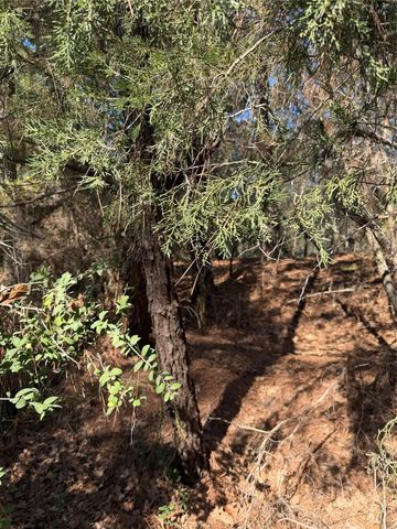 Lot 320 Keneka LN, Bastrop, TX 78602