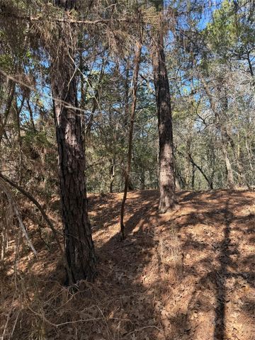 Lot 320 Keneka LN, Bastrop, TX 78602