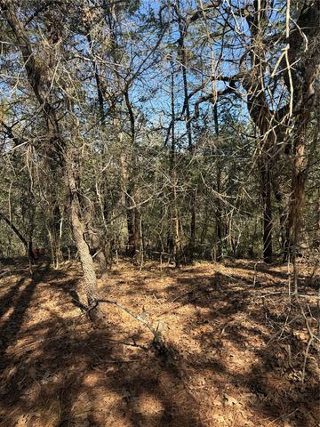 Lot 320 Keneka LN, Bastrop, TX 78602