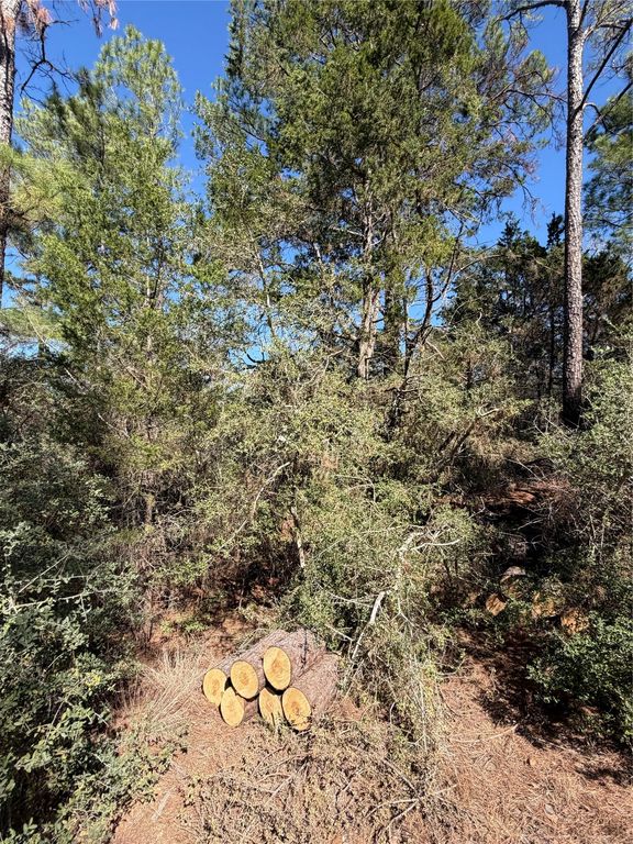 Lot 320 Keneka LN, Bastrop, TX 78602