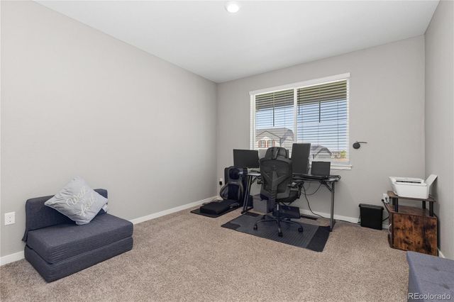 17308 Red Cosmos Point, Parker, CO 80134