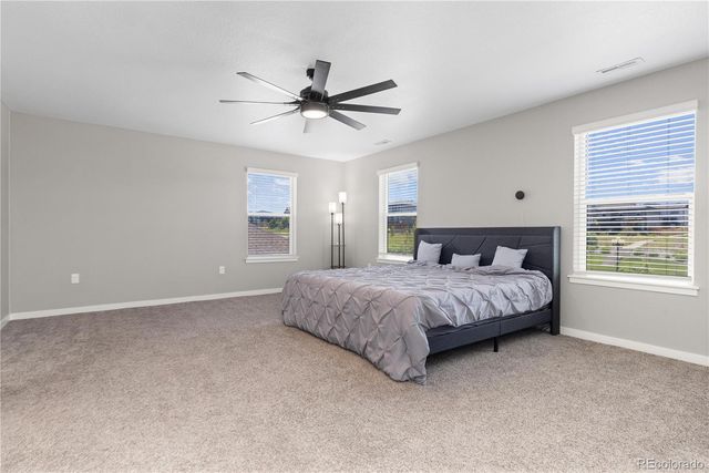 17308 Red Cosmos Point, Parker, CO 80134