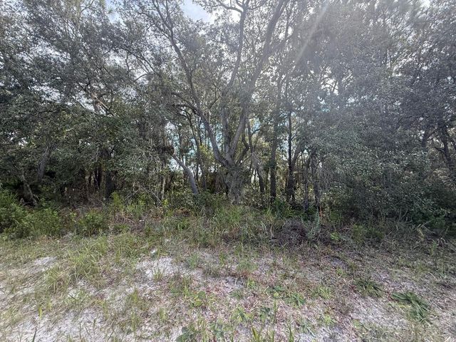 Tbd SW 146th Lane Road, Dunnellon, FL 34432
