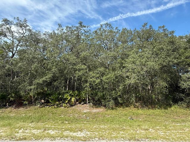 Tbd SW 146th Lane Road, Dunnellon, FL 34432