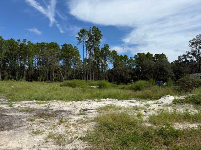 Tbd SW 146th Lane Road, Dunnellon, FL 34432