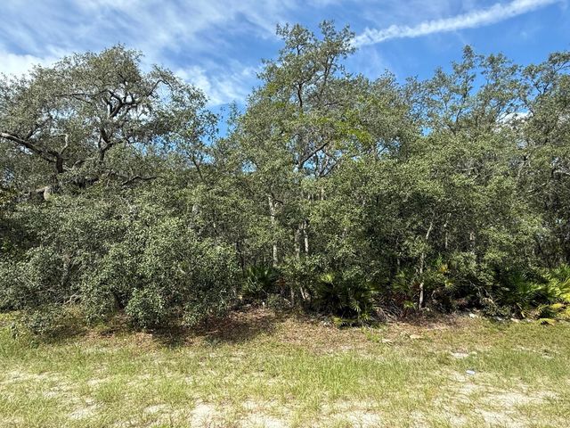 Tbd SW 146th Lane Road, Dunnellon, FL 34432