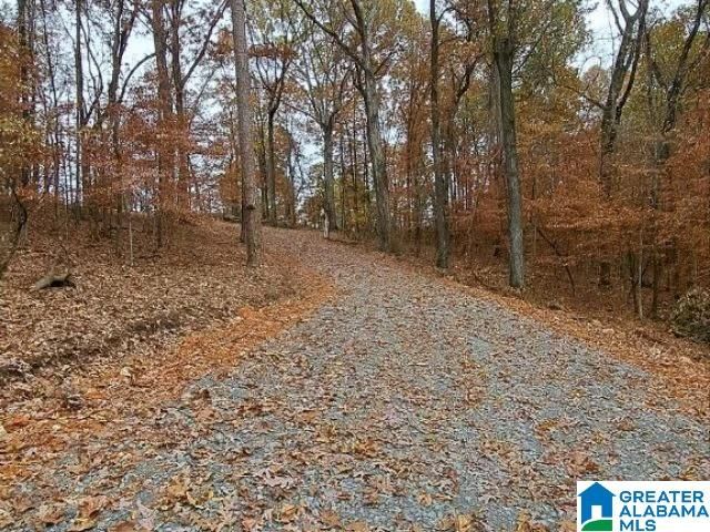 6246 RED HOLLOW ROAD, Pinson, AL 35215