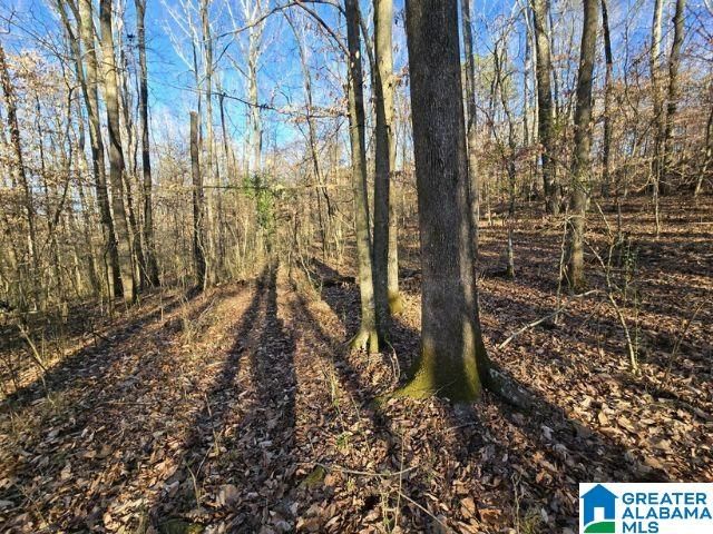 6246 RED HOLLOW ROAD, Pinson, AL 35215