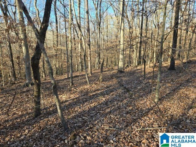 6246 RED HOLLOW ROAD, Pinson, AL 35215