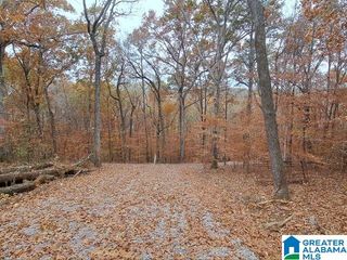 6246 RED HOLLOW ROAD, Pinson, AL 35215