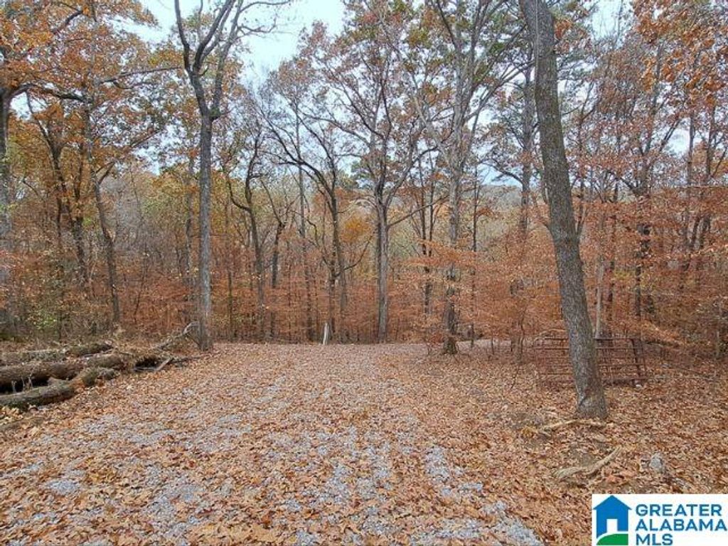 6246 RED HOLLOW ROAD, Pinson, AL 35215