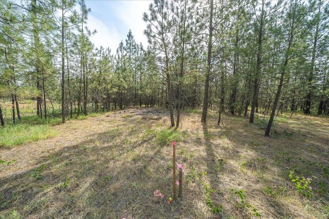 5123 E Chattaroy Rd, Chattaroy, WA 99003