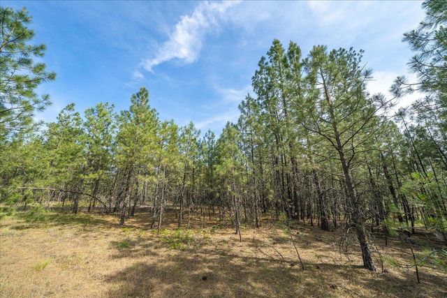 5123 E Chattaroy Rd, Chattaroy, WA 99003