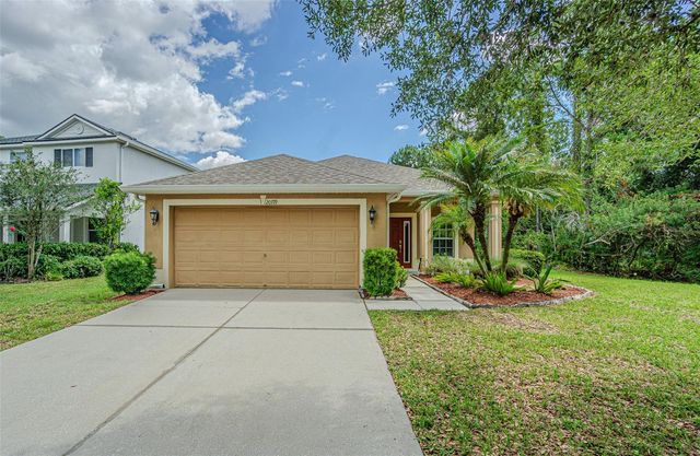 20719 GREAT LAUREL AVENUE, Tampa, FL 33647