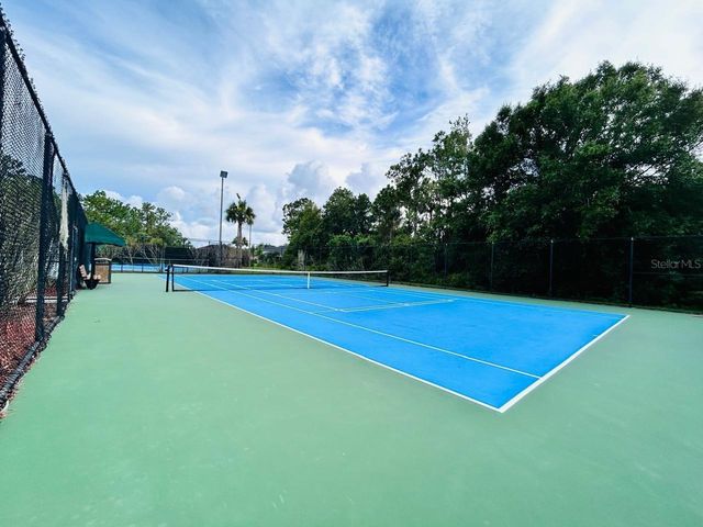 20719 GREAT LAUREL AVENUE, Tampa, FL 33647