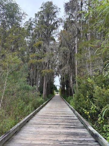 15068 CARAVAN AVENUE, Odessa, FL 33556