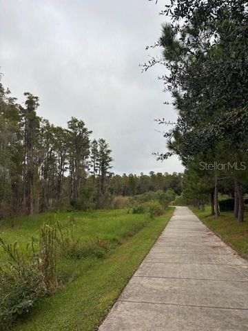 15068 CARAVAN AVENUE, Odessa, FL 33556