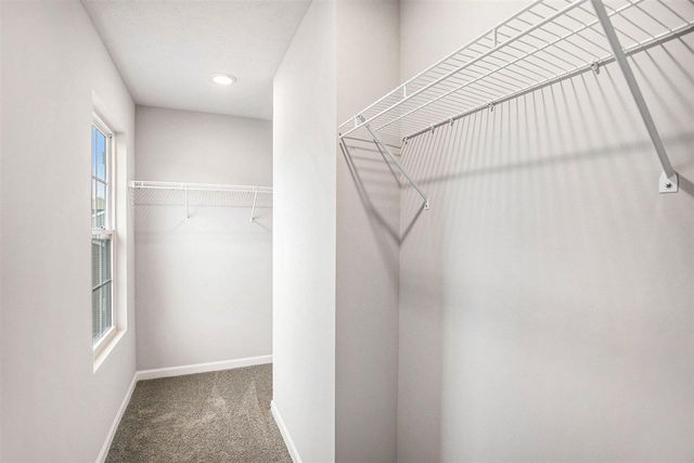 6171 Pollys Path, Berrien Springs, MI 49103