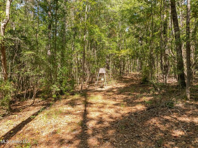 274 Game Reserve Road, Columbia, MS 39429